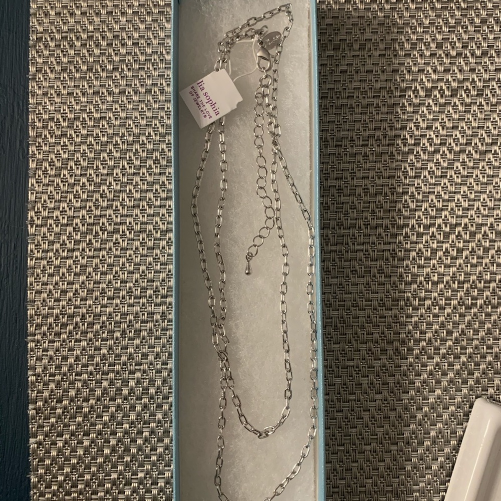NWT Lia Sophia sliver link chain 28”